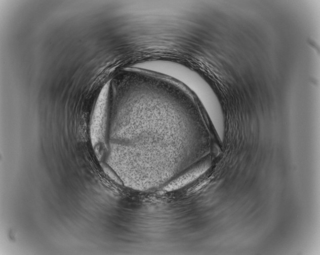 X0000096210868200802081500