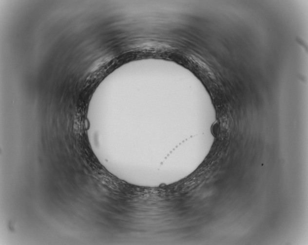 X0000096210869200802081500