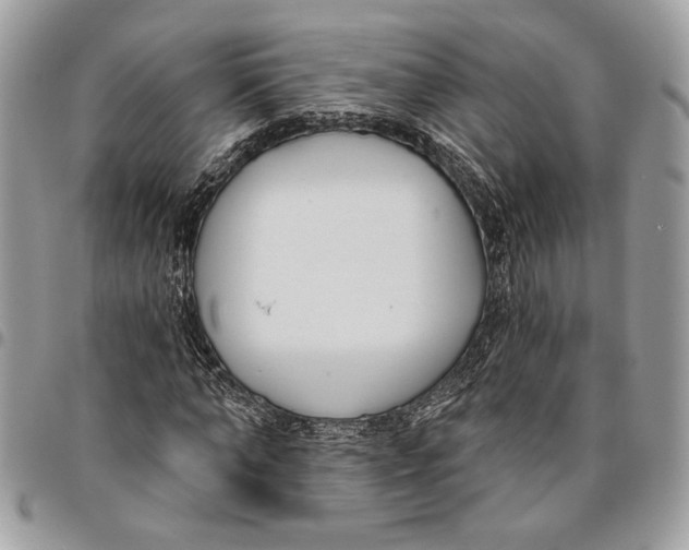 X0000096210870200802081500