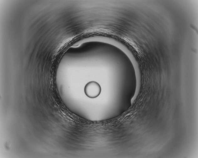 X0000096210872200802081459