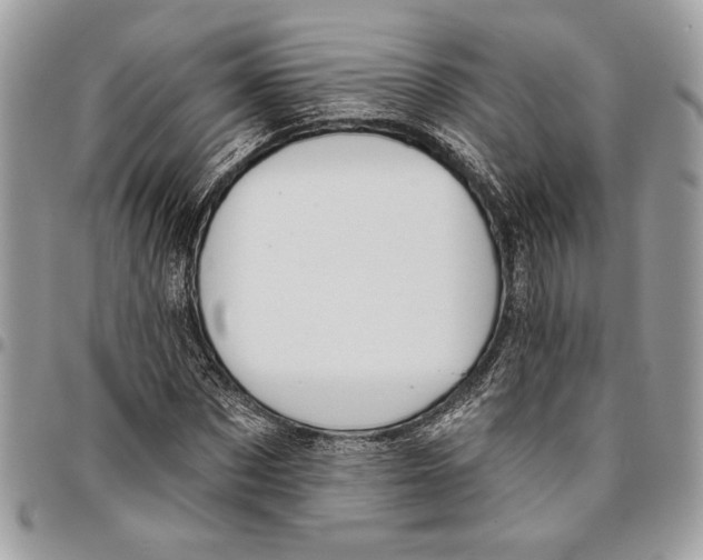 X0000096210873200802081459