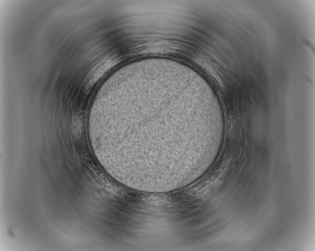 X0000096210874200802081459