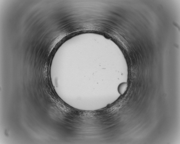 X0000096210875200802081459