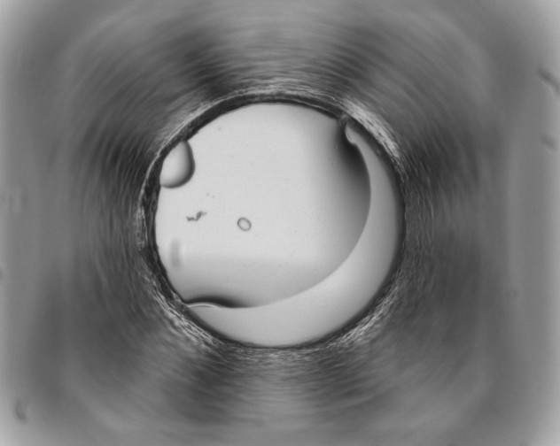 X0000096210876200802081459