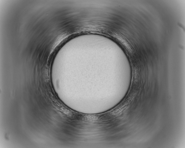 X0000096210878200802081459