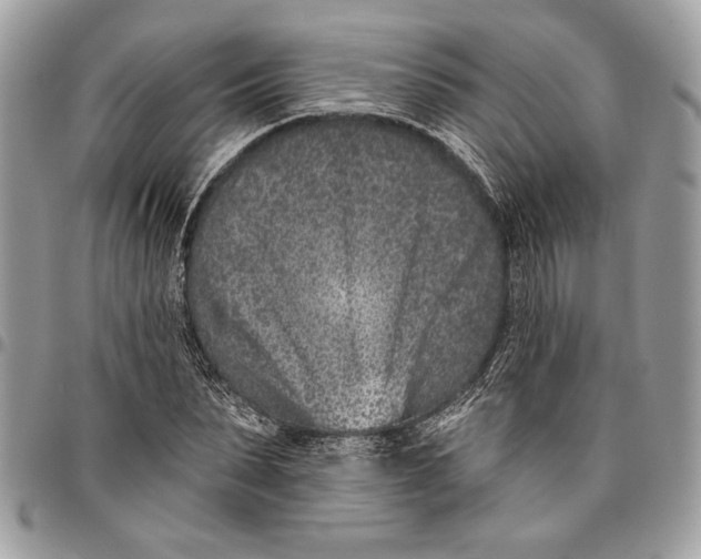 X0000096210879200802081459