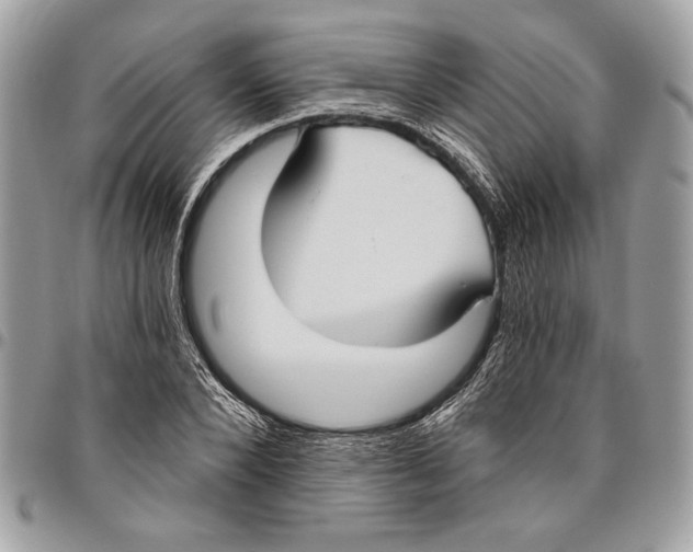 X0000096210880200802081459