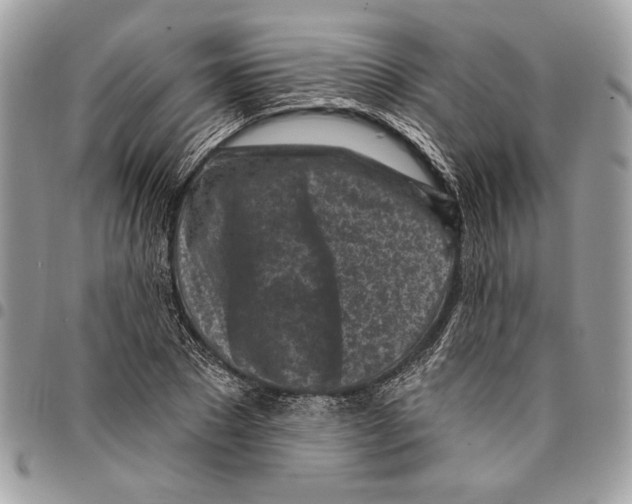 X0000096210881200802081459