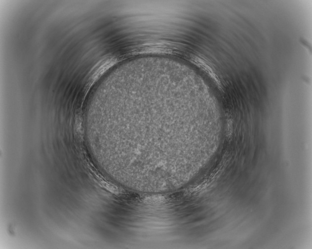 X0000096210882200802081459