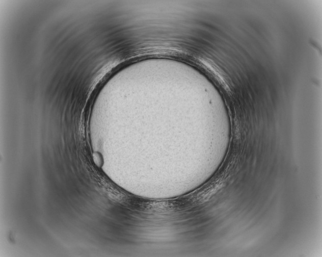 X0000096210883200802081459