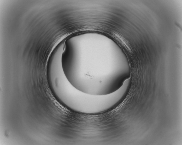 X0000096210884200802081459