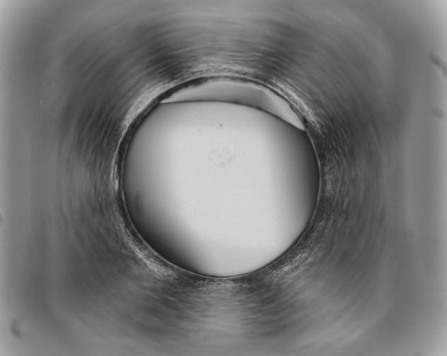 X0000096210885200802081459