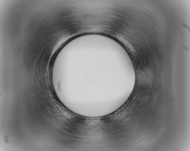 X0000096210886200802081459