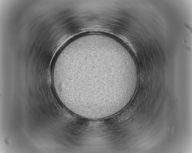 X0000096210887200802081459