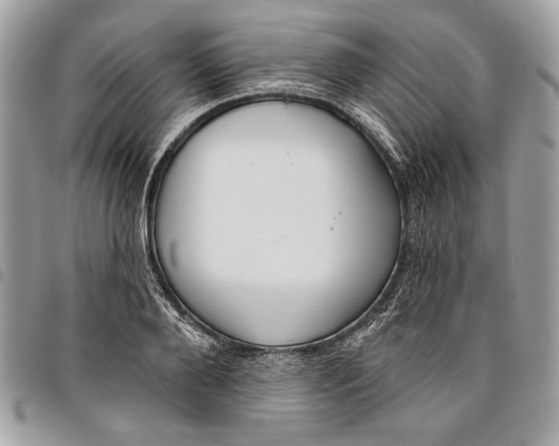 X0000096210888200802081459