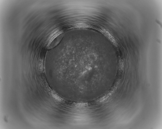 X0000096210889200802081459