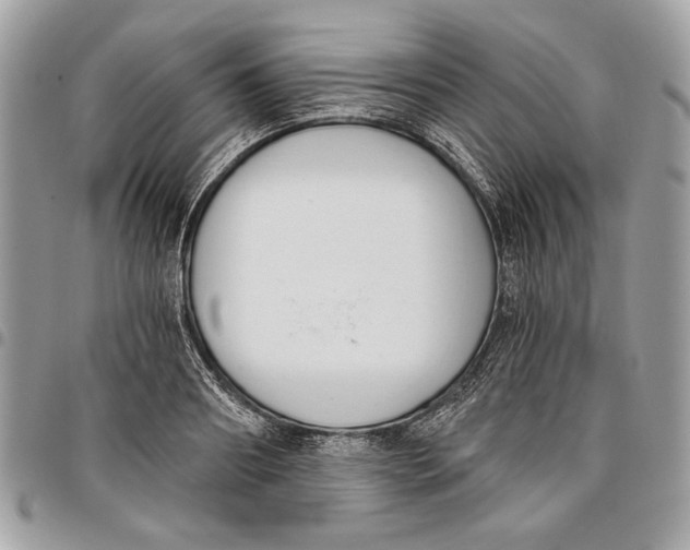 X0000096210890200802081459