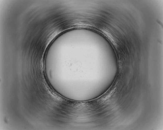 X0000096210891200802081459