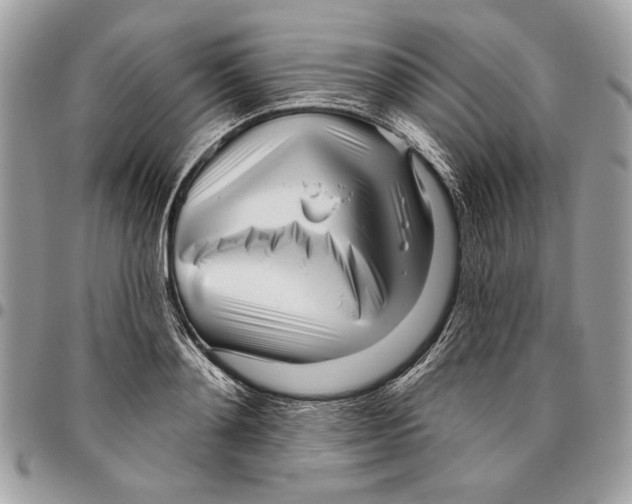 X0000096210892200802081459