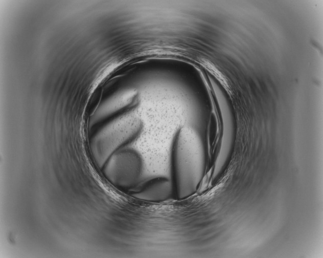 X0000096210893200802081459