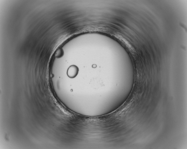 X0000096210894200802081459