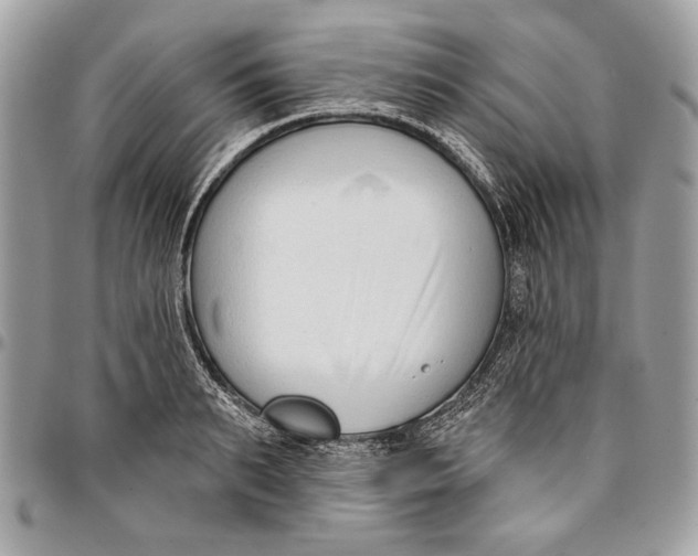 X0000096210895200802081459