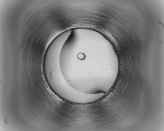 X0000096210896200802081459