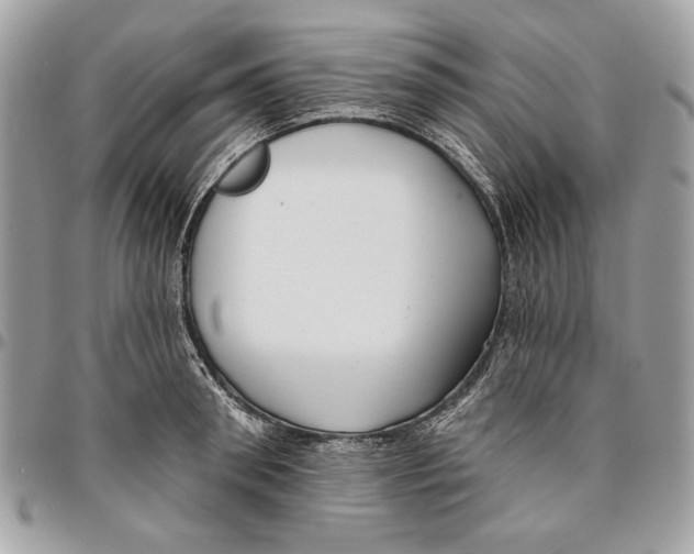 X0000096210898200802081459