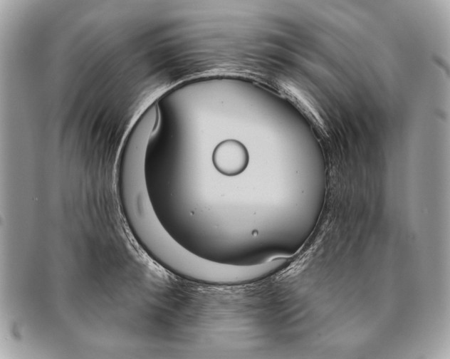 X0000096210900200802081459