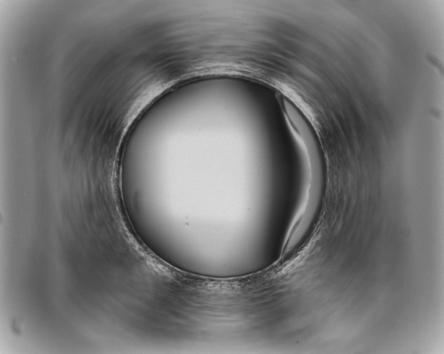 X0000096210901200802081459