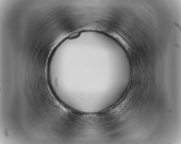 X0000096210902200802081459