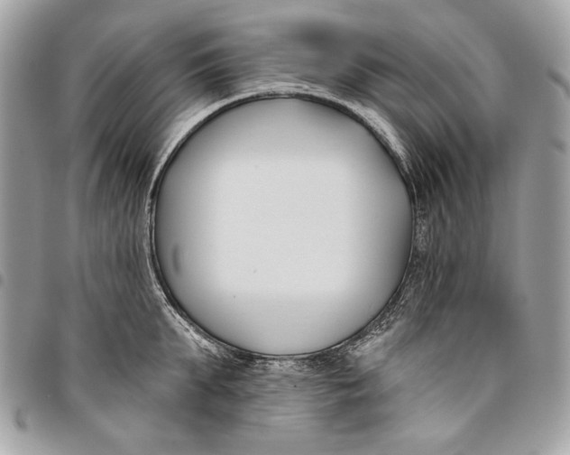 X0000096210903200802081459