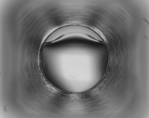 X0000096210904200802081459