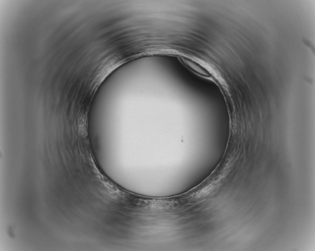 X0000096210905200802081459