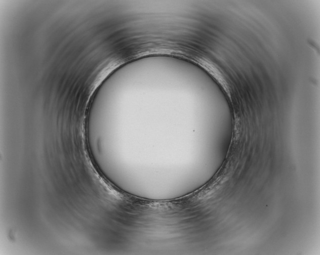 X0000096210906200802081459