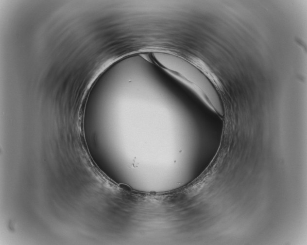 X0000096210908200802081459