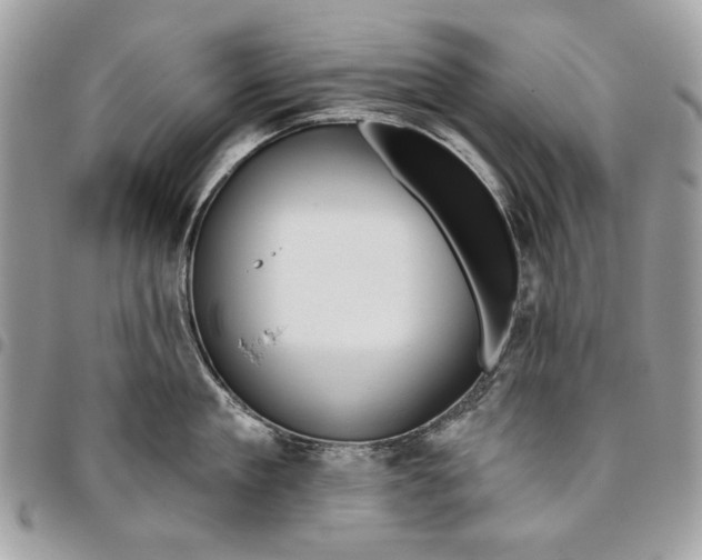 X0000096210909200802081459