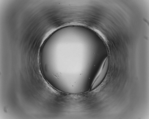 X0000096210910200802081459