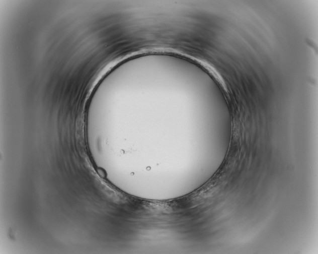 X0000096210911200802081459