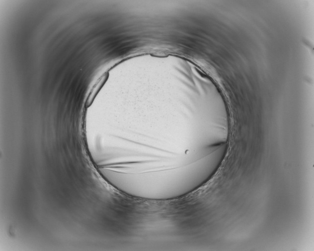 X0000096210912200802081459