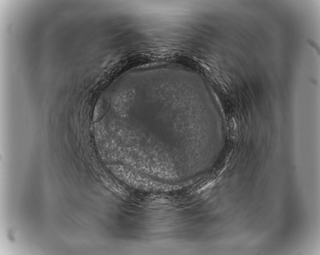 X0000096210913200802081458