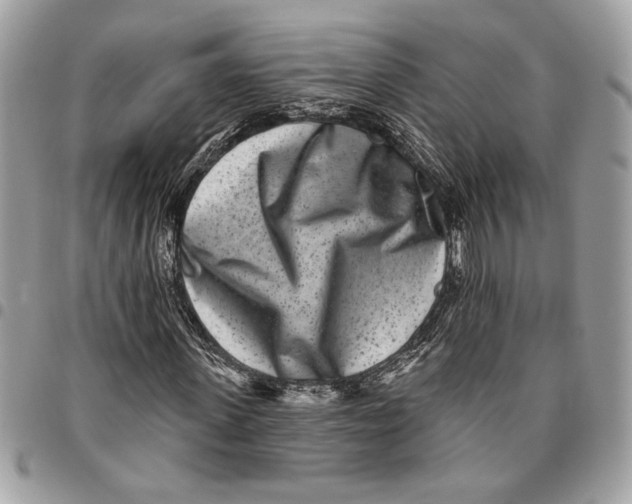 X0000096210915200802081458