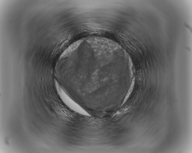 X0000096210916200802081458