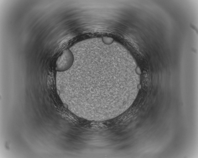 X0000096210918200802081458