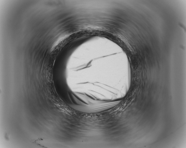 X0000096210919200802081458