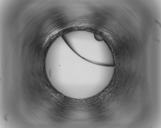 X0000096210920200802081458