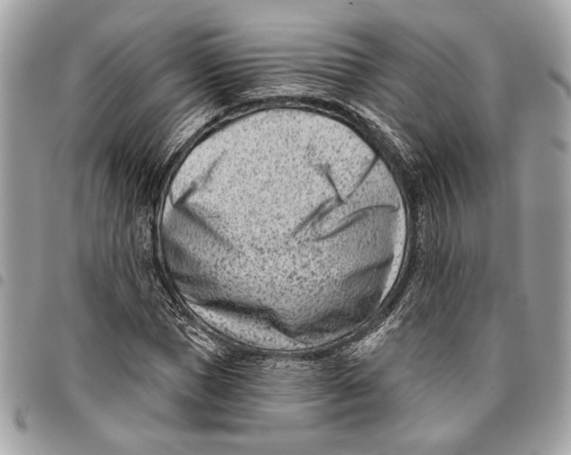 X0000096210921200802081458