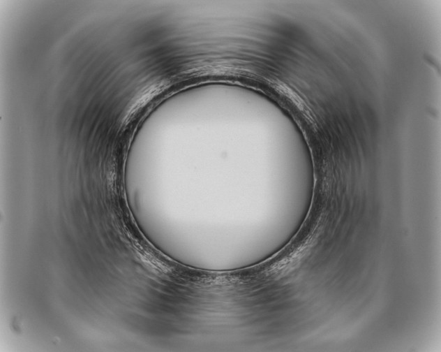 X0000096210922200802081458