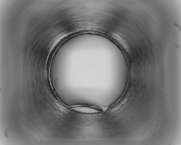 X0000096210924200802081458