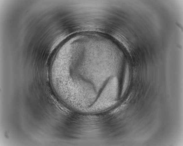 X0000096210925200802081458